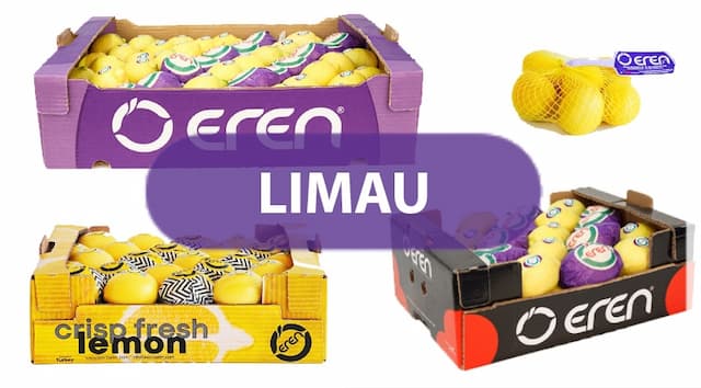 A representation of our fresh lemon product group packed inside our companies boxes ready for export